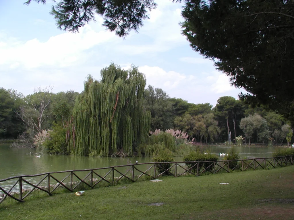 Pineta Dannunziana