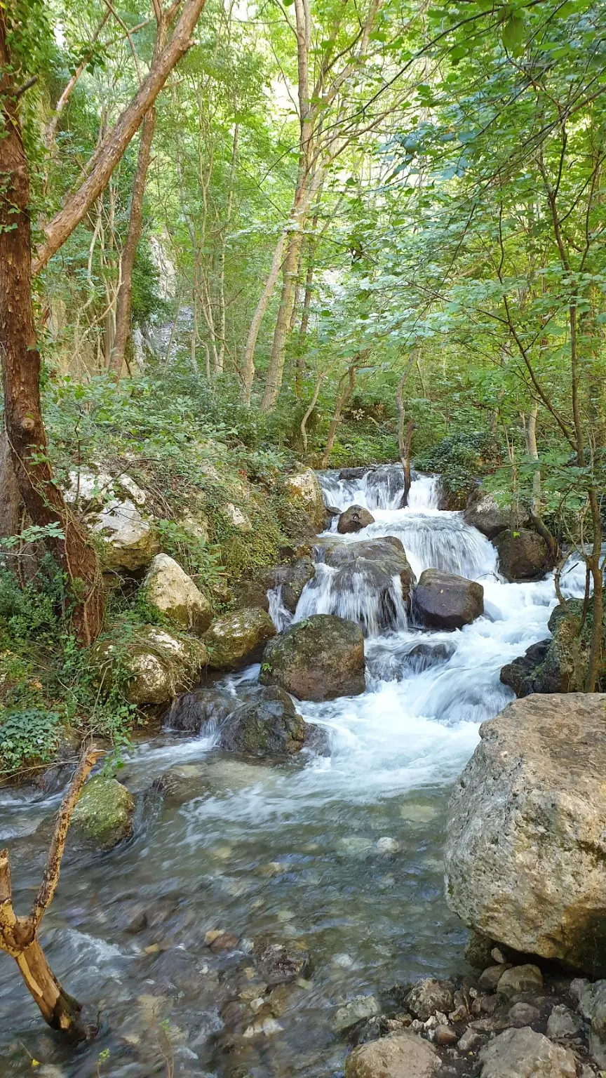Lungo il fiume dalle Sorgenti di Cavuto